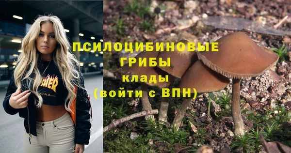 винт Алексин