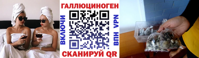 MEGA ТОР  Тавда  Псилоцибиновые грибы прущие грибы  где купить наркоту 